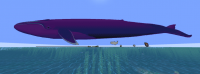 Ecco Whale.png